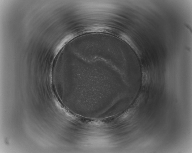 X0000100880994200806201242
