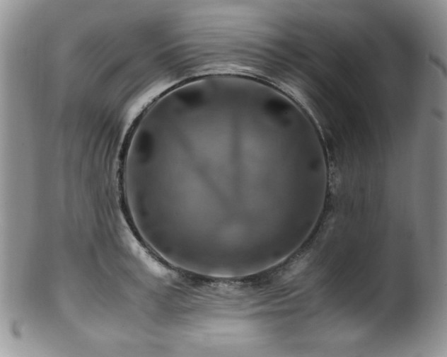 X0000100880995200806201242