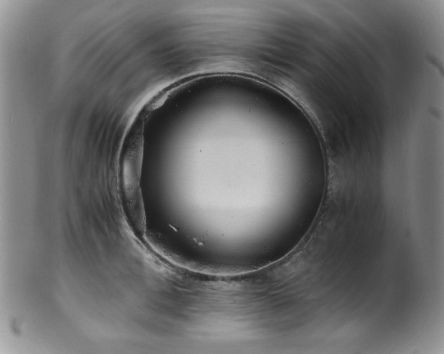 X0000100880996200806201242