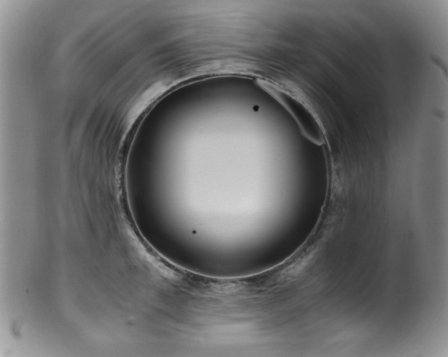 X0000100880997200806201242