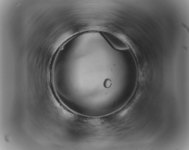 X0000100880999200806201242