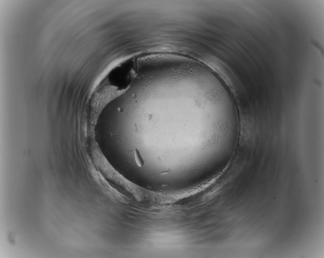 X0000100881000200806201242