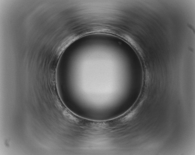 X0000100881001200806201242