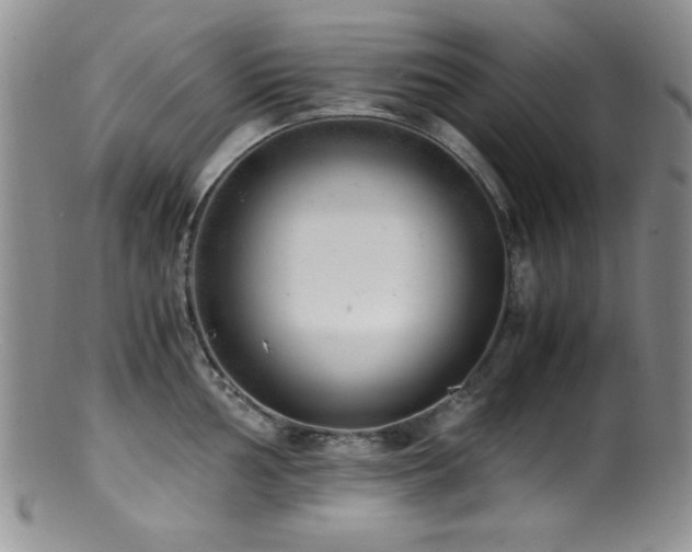 X0000100881002200806201242