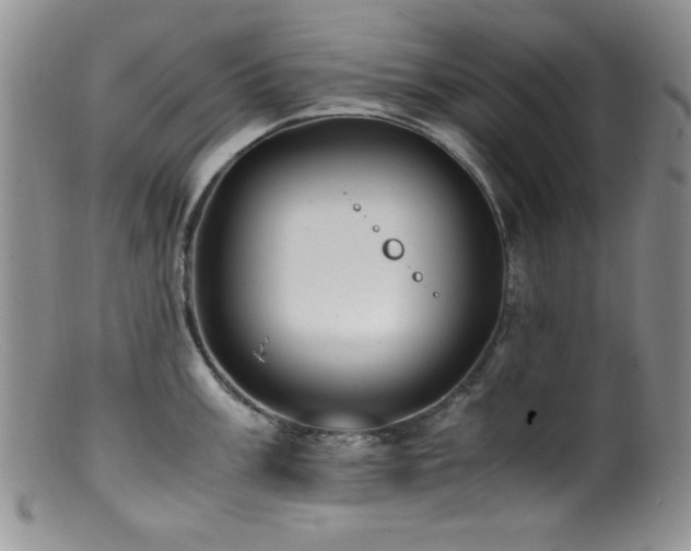 X0000100881003200806201242