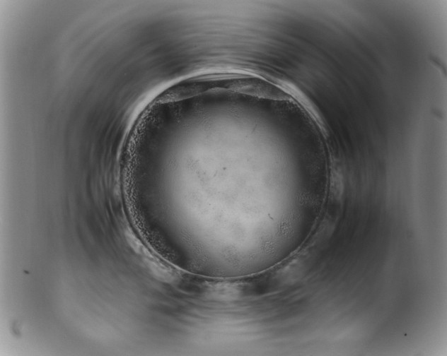 X0000100881004200806201242