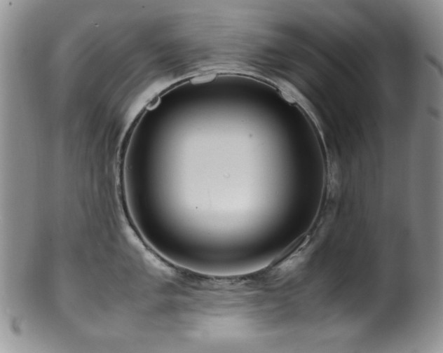X0000100881005200806201242