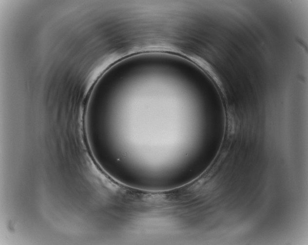 X0000100881006200806201242