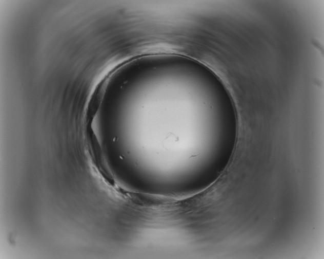 X0000100881008200806201242