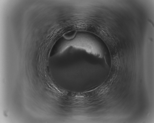 X0000100881009200806201241