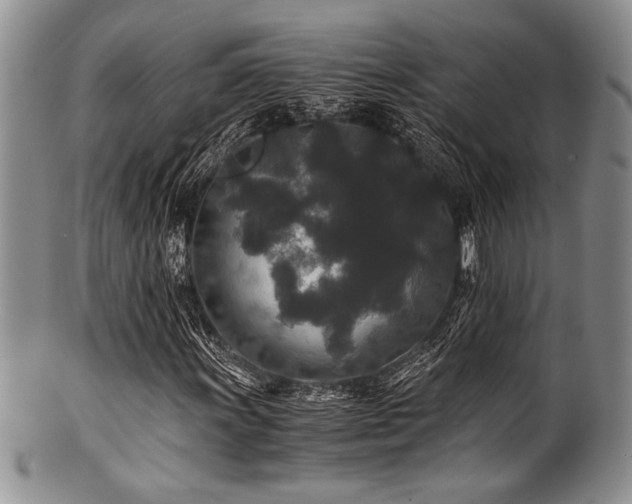 X0000100881011200806201241