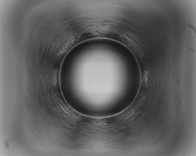 X0000100881012200806201241