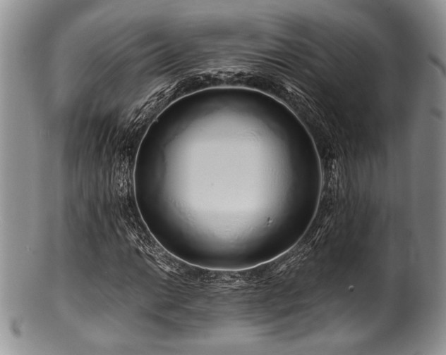 X0000100881014200806201241