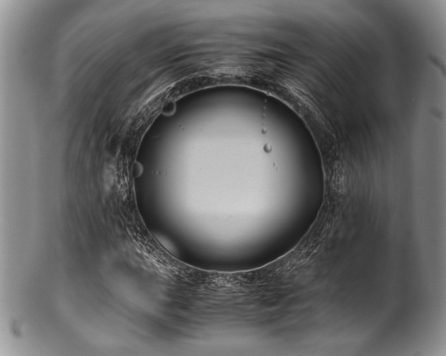 X0000100881015200806201241