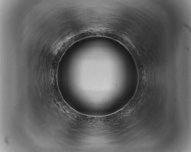 X0000100881016200806201241