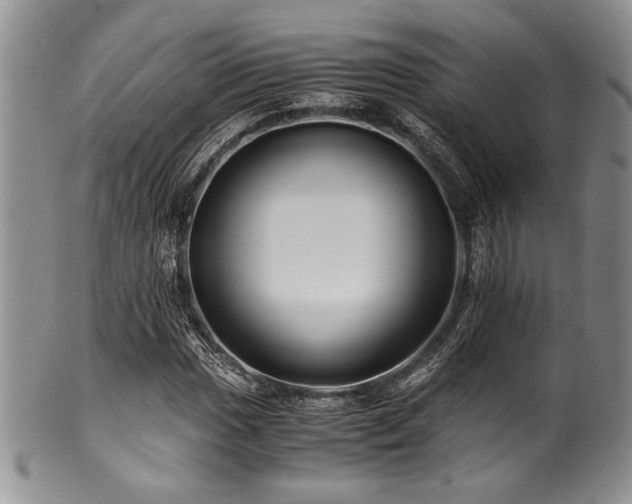 X0000100881017200806201241