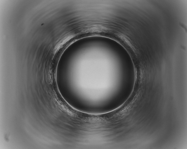 X0000100881018200806201241