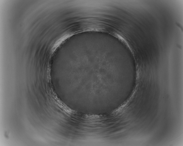 X0000100881019200806201241