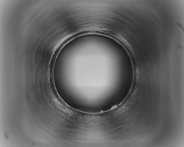 X0000100881020200806201241
