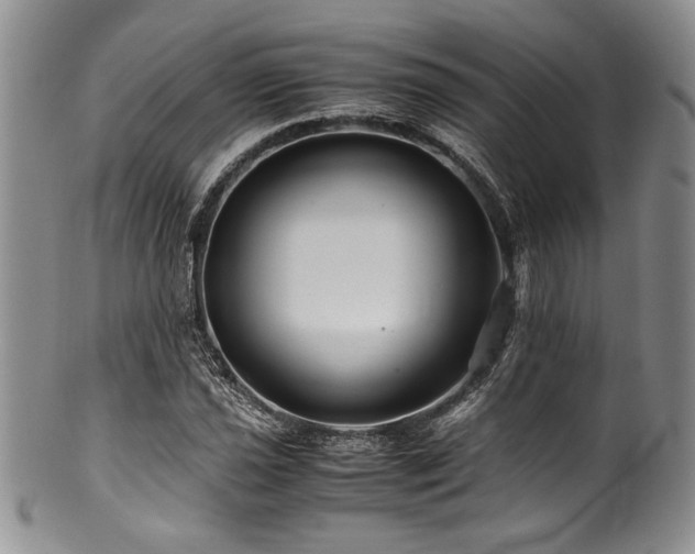 X0000100881021200806201241