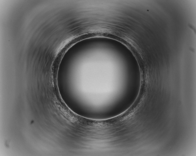 X0000100881022200806201241