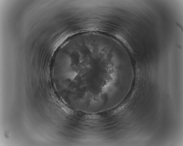 X0000100881023200806201241