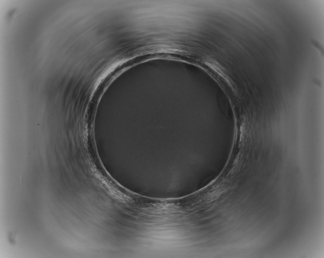 X0000100881024200806201241