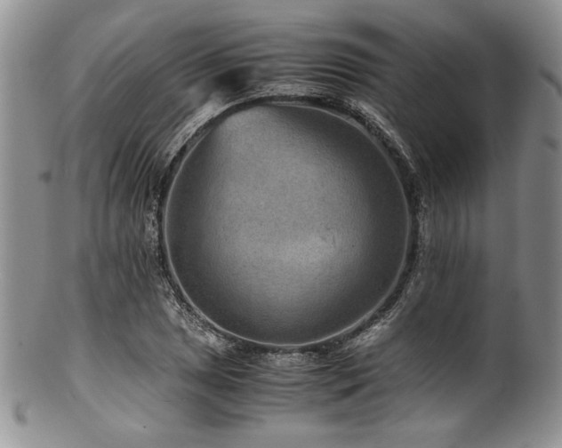 X0000100881025200806201241