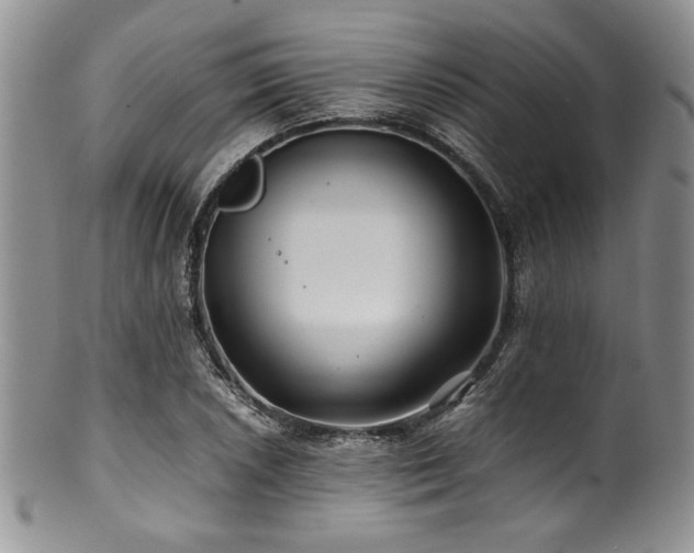 X0000100881026200806201241