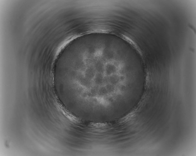 X0000100881027200806201241