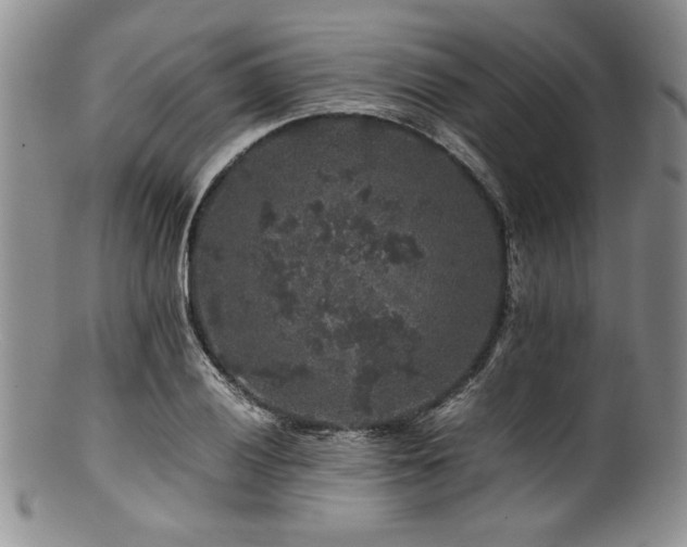X0000100881028200806201241