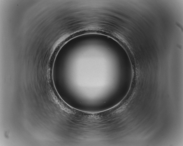 X0000100881029200806201241