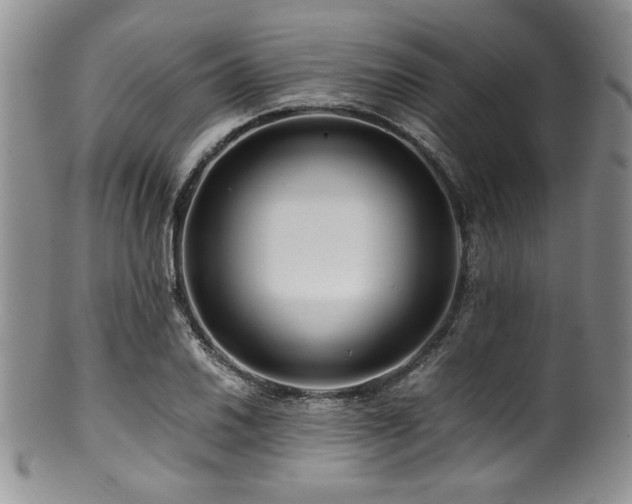 X0000100881030200806201241