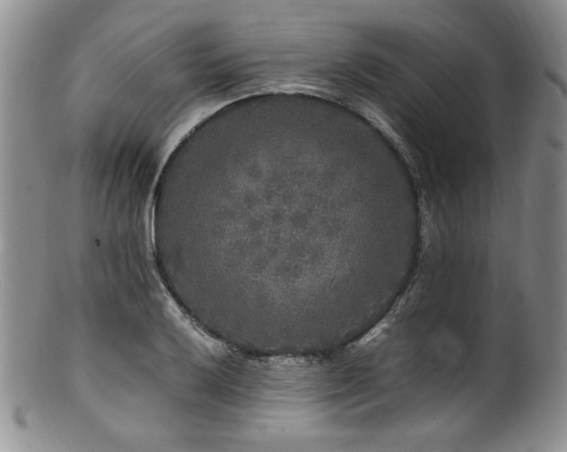 X0000100881032200806201241