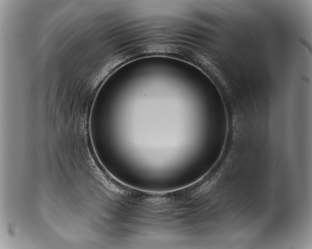 X0000100881033200806201241