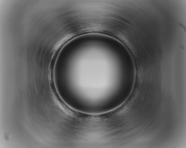 X0000100881034200806201241
