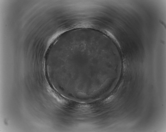 X0000100881035200806201241