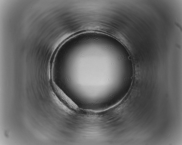 X0000100881036200806201241