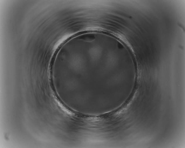 X0000100881037200806201241