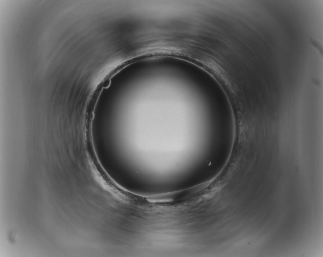 X0000100881038200806201241