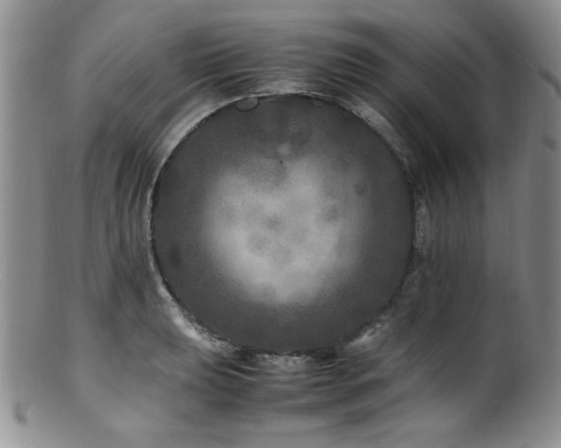 X0000100881039200806201241
