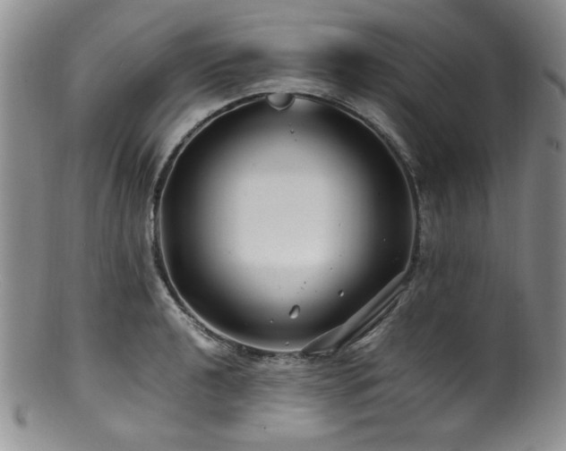 X0000100881040200806201241