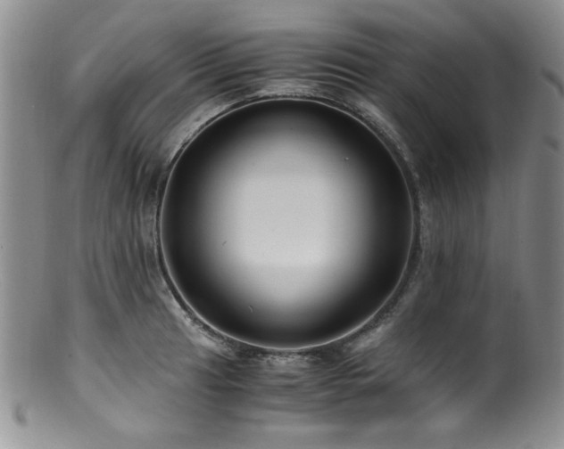 X0000100881041200806201241