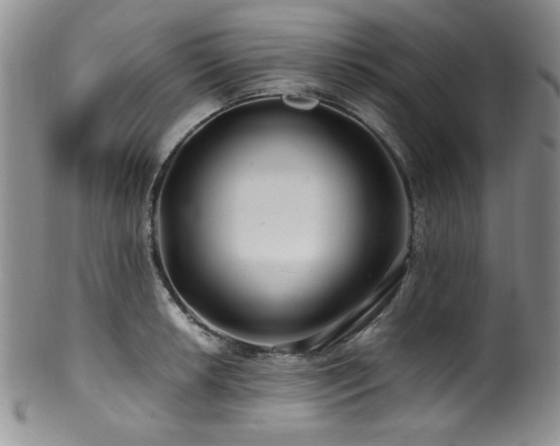 X0000100881042200806201241