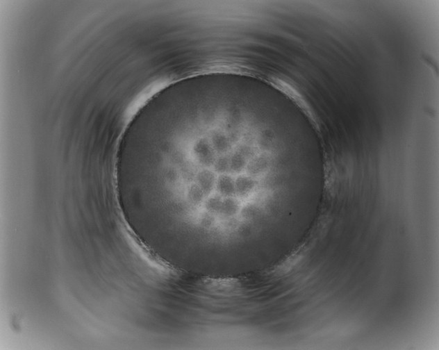 X0000100881043200806201241