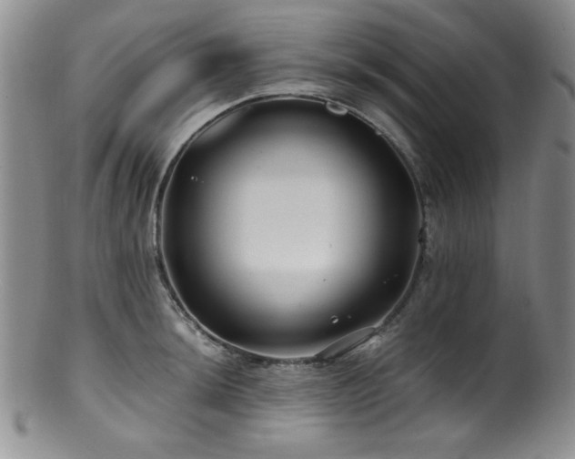 X0000100881044200806201241