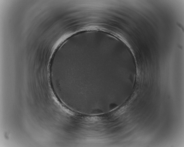 X0000100881045200806201241