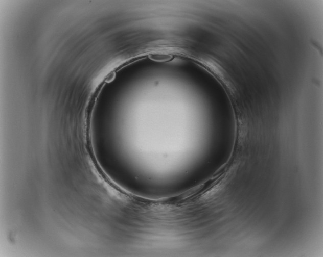 X0000100881046200806201241
