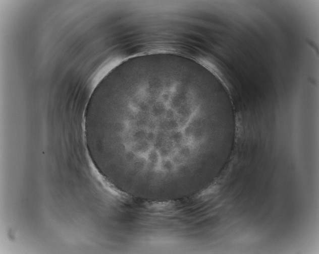 X0000100881047200806201241