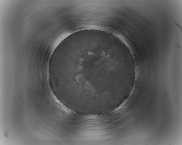 X0000100881048200806201241